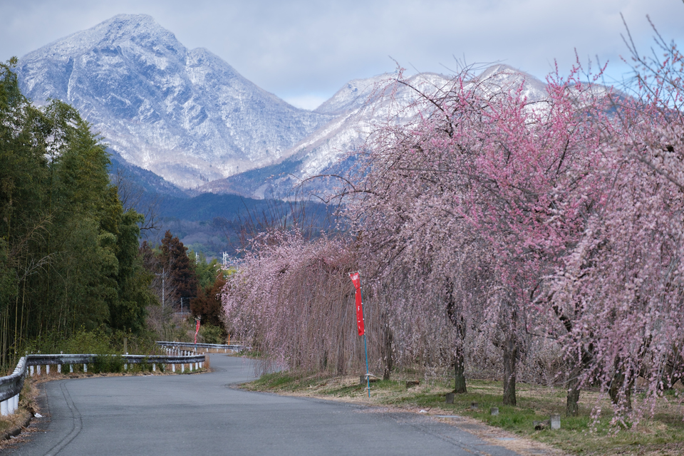 優秀賞　climber3000さんの作品「雪化粧の榛名山と箕郷梅林」