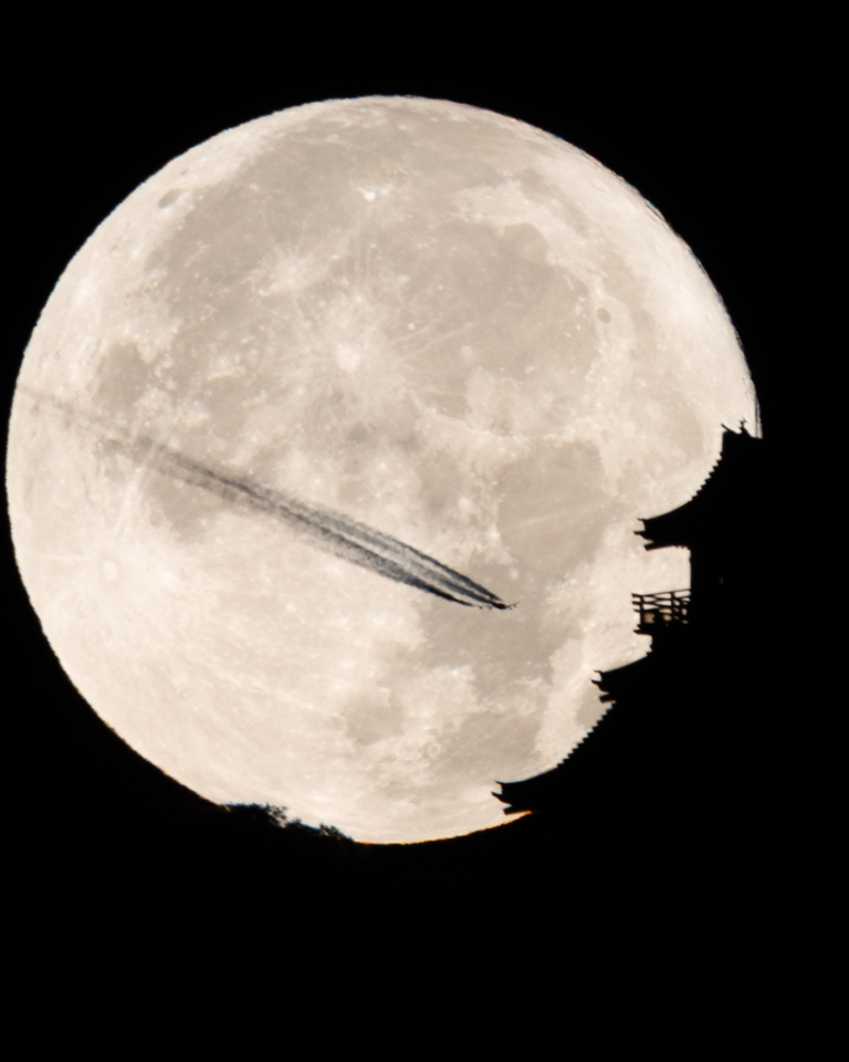 箕郷梅林賞　sou_photogalleryさんの作品「共演」