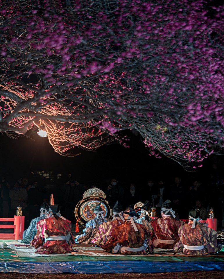 秋間梅林賞　つとむ(@t_s_u_t_o_m_u_h)さんの作品「秋間梅林のライトアップと雅楽奏者」