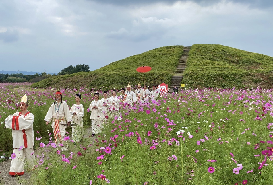 榛名梅林賞　hanamaruさんの作品「コスモスと古代王の儀式」