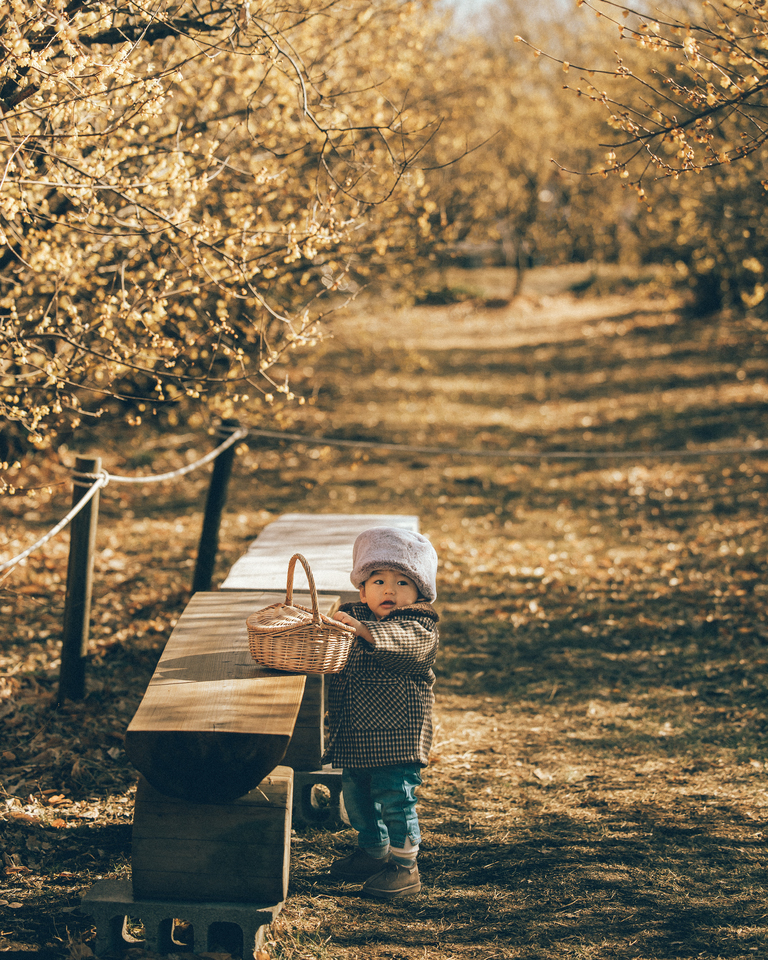 秋間梅林賞　yuki_19870908さんの作品「冬の香」