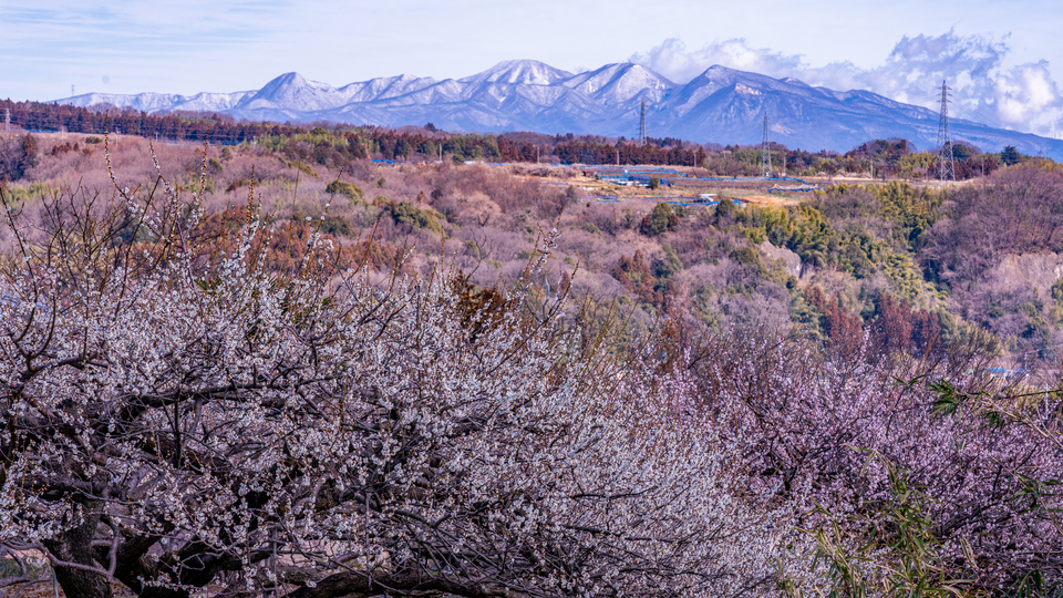 入賞　goto_travelingさんの作品「ぐんまの早春」