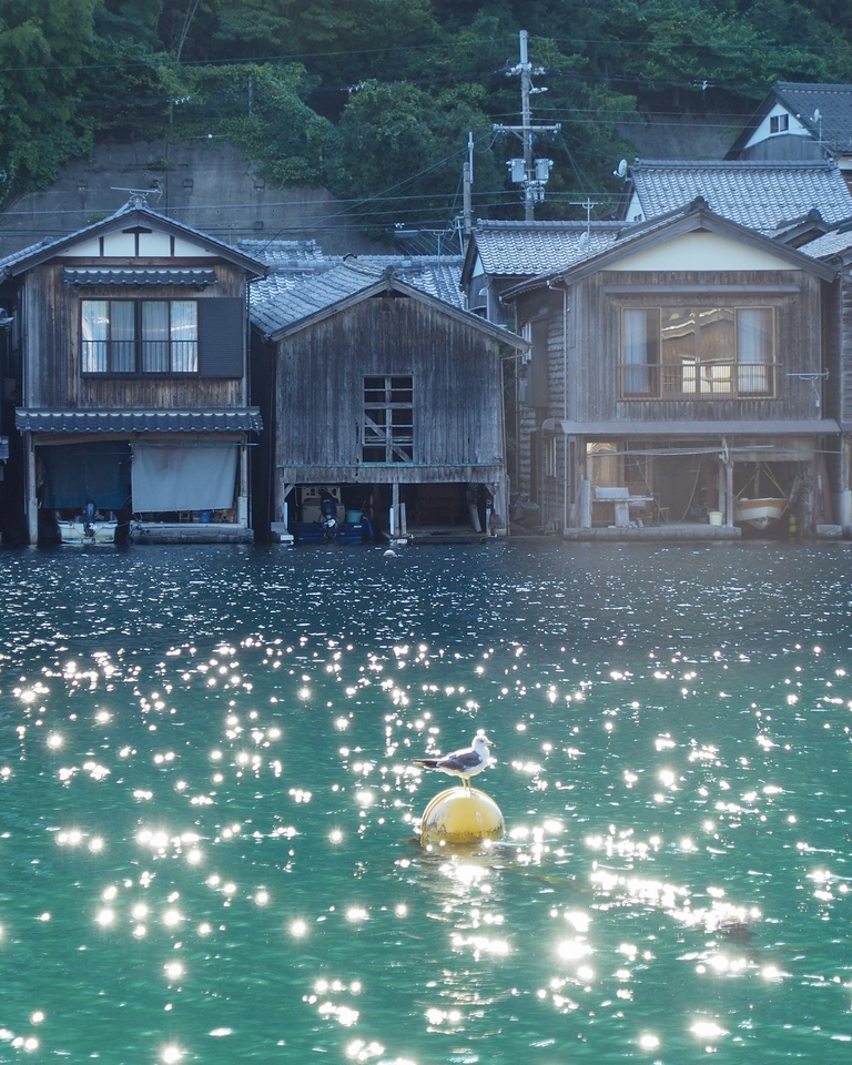 入賞　tomokotoamuさんの作品「きらり夏の伊根」