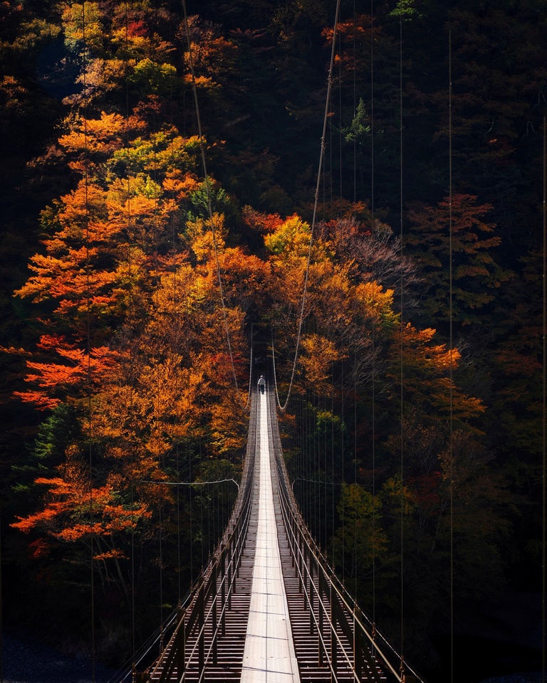 入賞　渡辺修さんの作品「頂に続く錦秋の大吊橋」