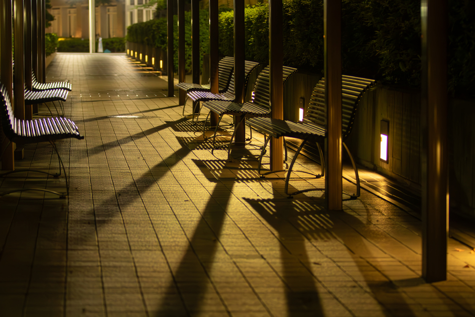 最優秀賞　夏色(natsuiro337)さんの作品「優しいシルエットに包まれて」