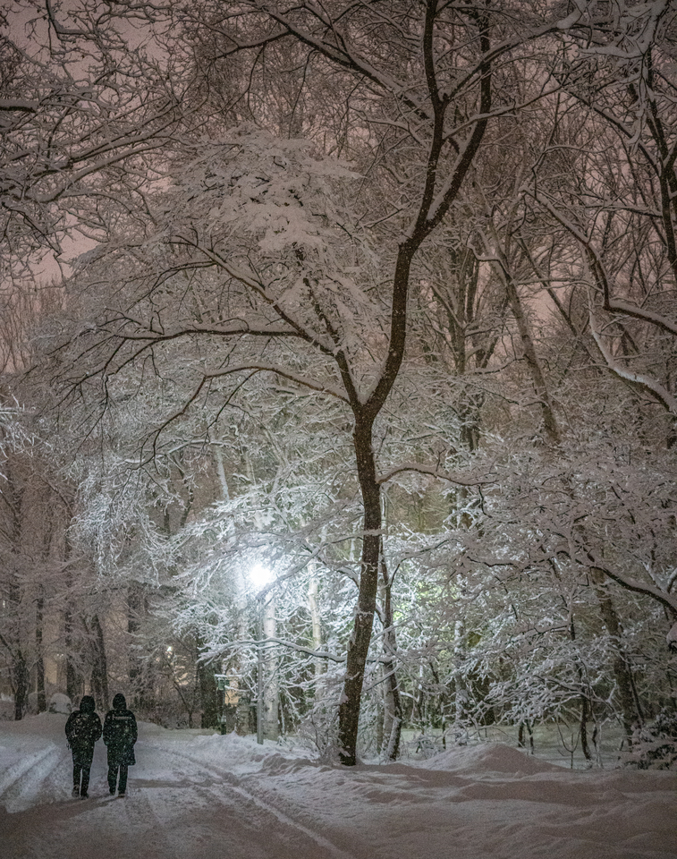 J-POWER賞　浅間　寛さんの作品「いつもの灯り 大雪でも 大雨でも 林の向こうに札幌の灯り。」