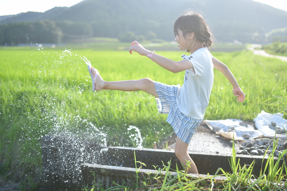 度会町賞　佐藤大智さんの作品「ある夏の日」