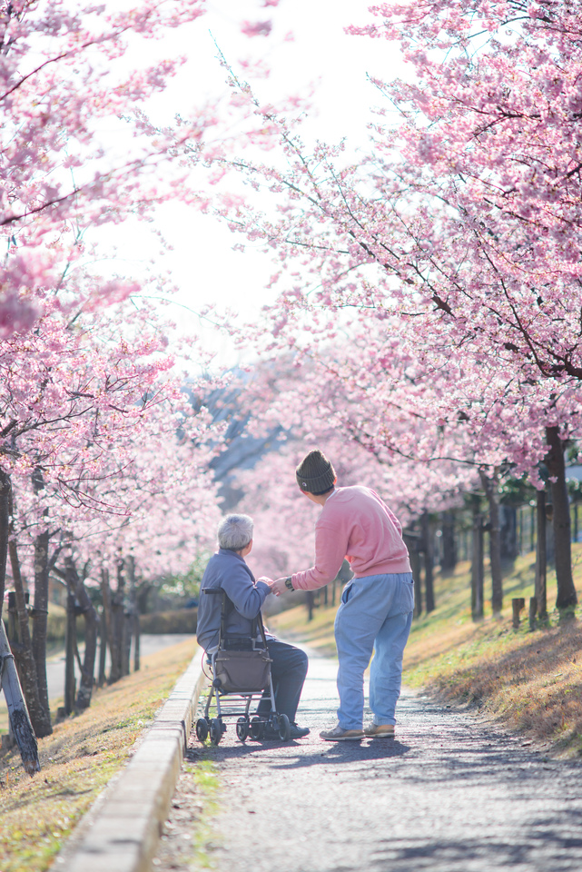 最優秀賞　ta.9yamamotoさんの作品「来年も楽しみだね」