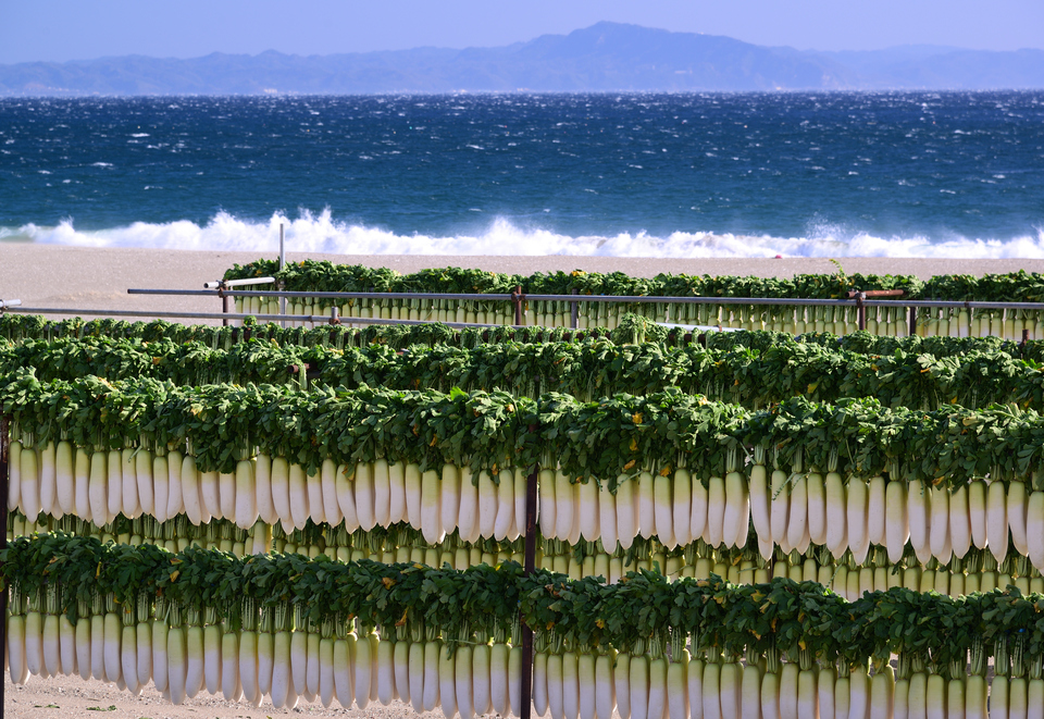 「おいしい日本」賞　ハマキッドさんの作品「冬の三浦海岸」