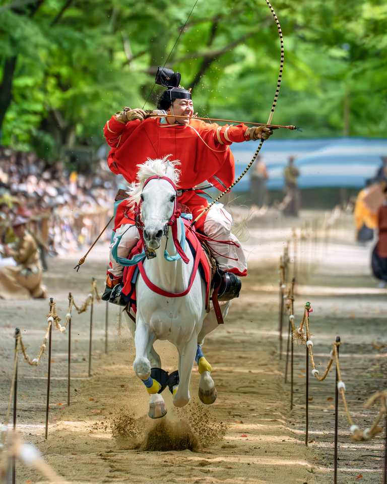 「7つの言語」賞　春木悦代さんの作品「人馬疾走」