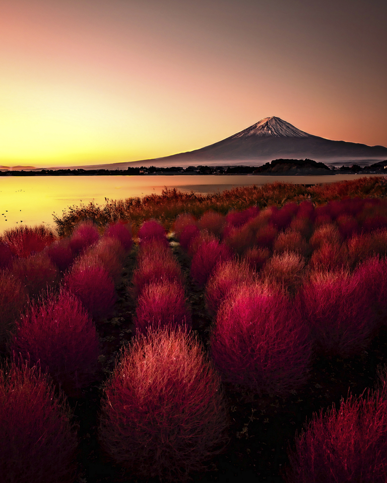 「7つの言語」賞　けんけんぱさんの作品「富士赫々(かっかく)」