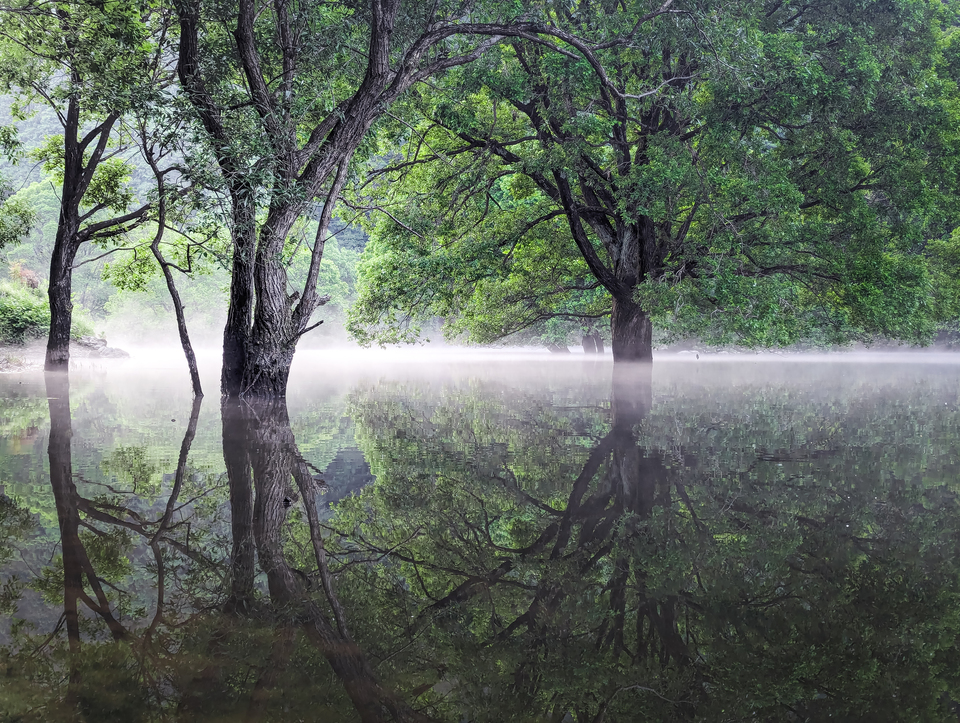 優秀賞　こすげまさとさんの作品「Parallel」