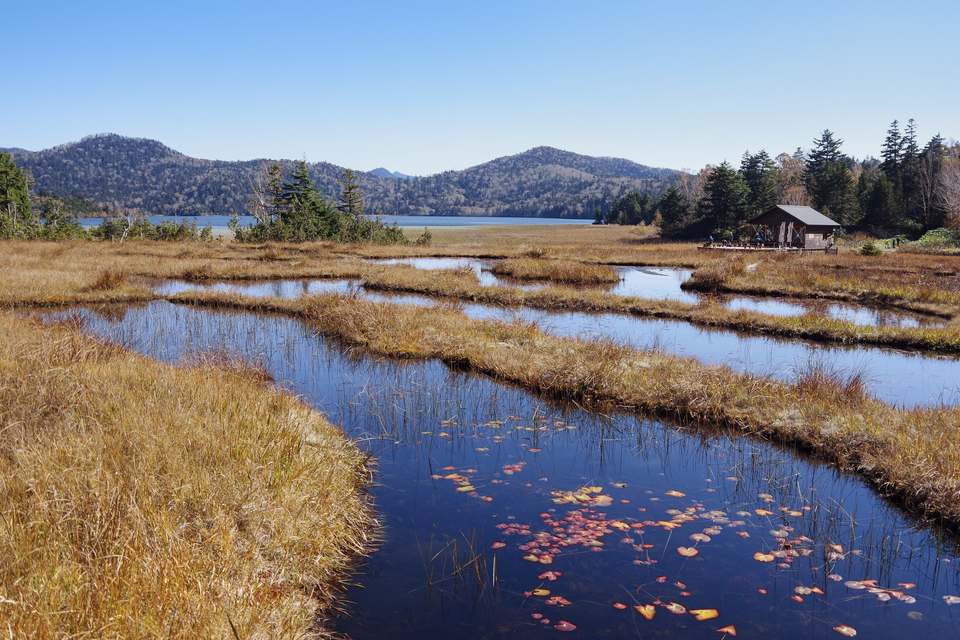 Nasa Kaneuchiさんの作品「穏やかな秋の日に」