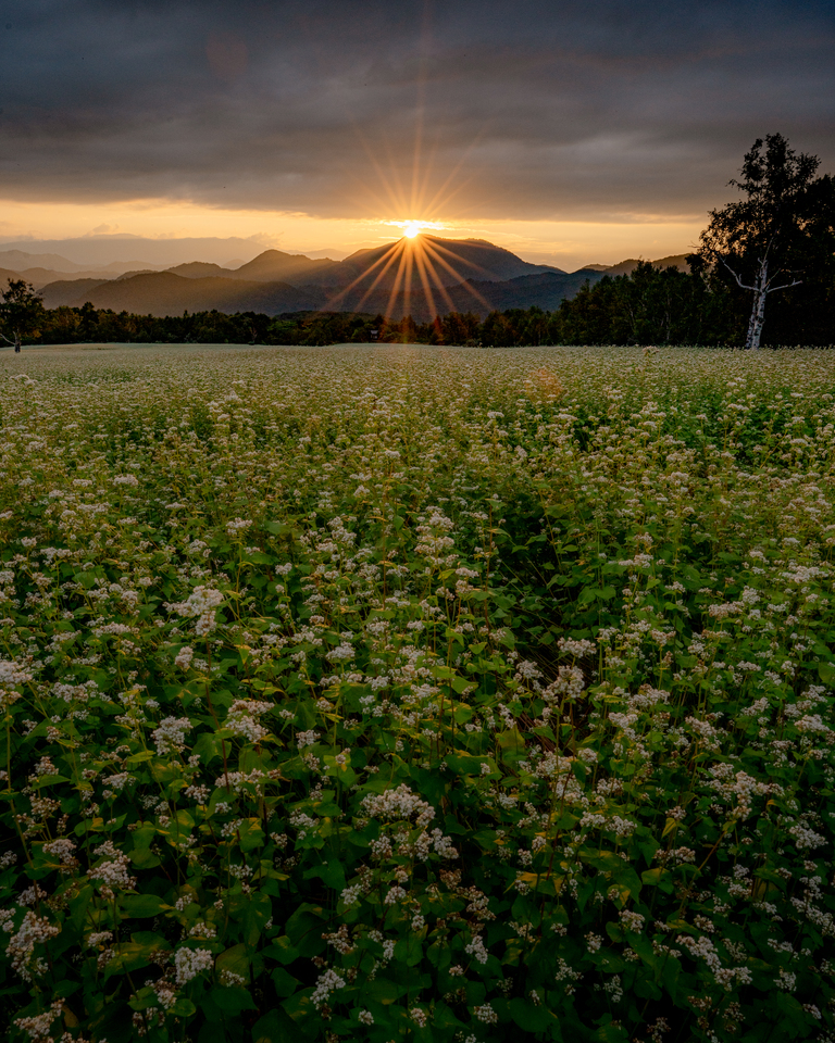 yooopezzzさんの作品「雲の隙間から」