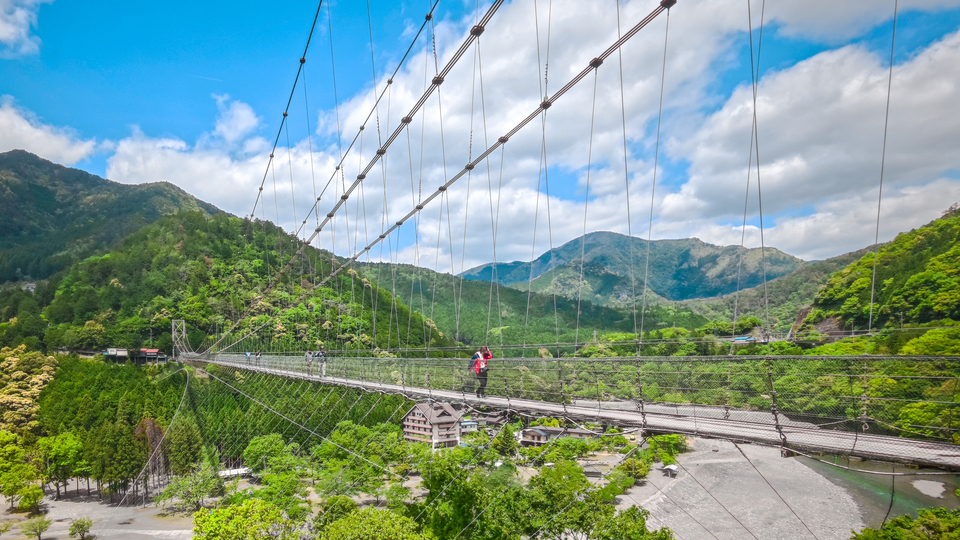 優秀賞（奈良県）　浦和新さんの作品「Lifeline」