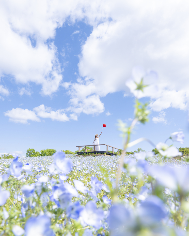 優秀賞（大阪府）　kaichan.papaさんの作品「未来へ夢をつなぐ」