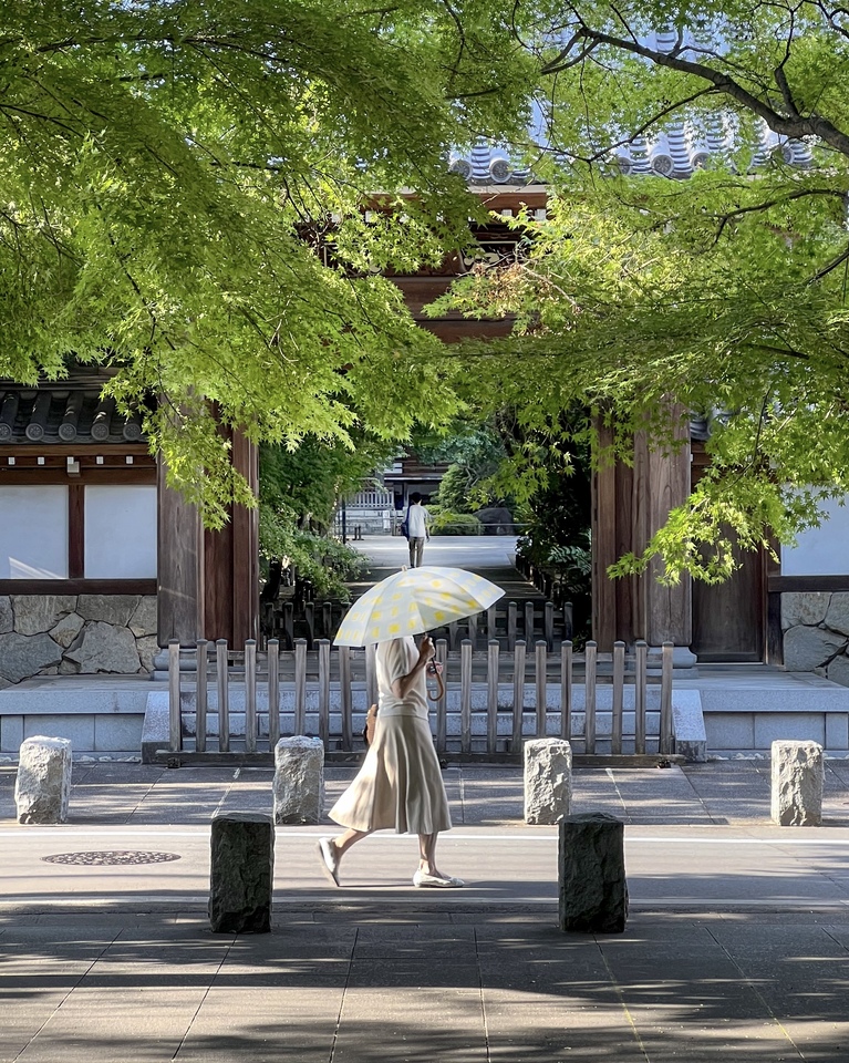 優秀賞（高円寺）　tsutsuuraura_jpnさんの作品「A strange encounter」