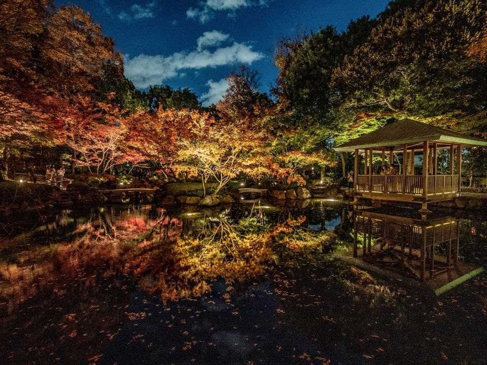 佳作（荻窪）　Kota Nanasawaさんの作品「晩秋の夜に」