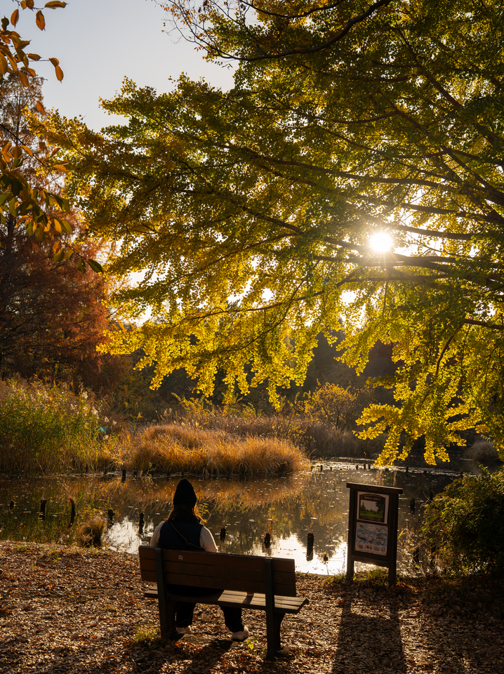 最優秀賞（西荻窪）　あゆむさんの作品「ひとやすみ」