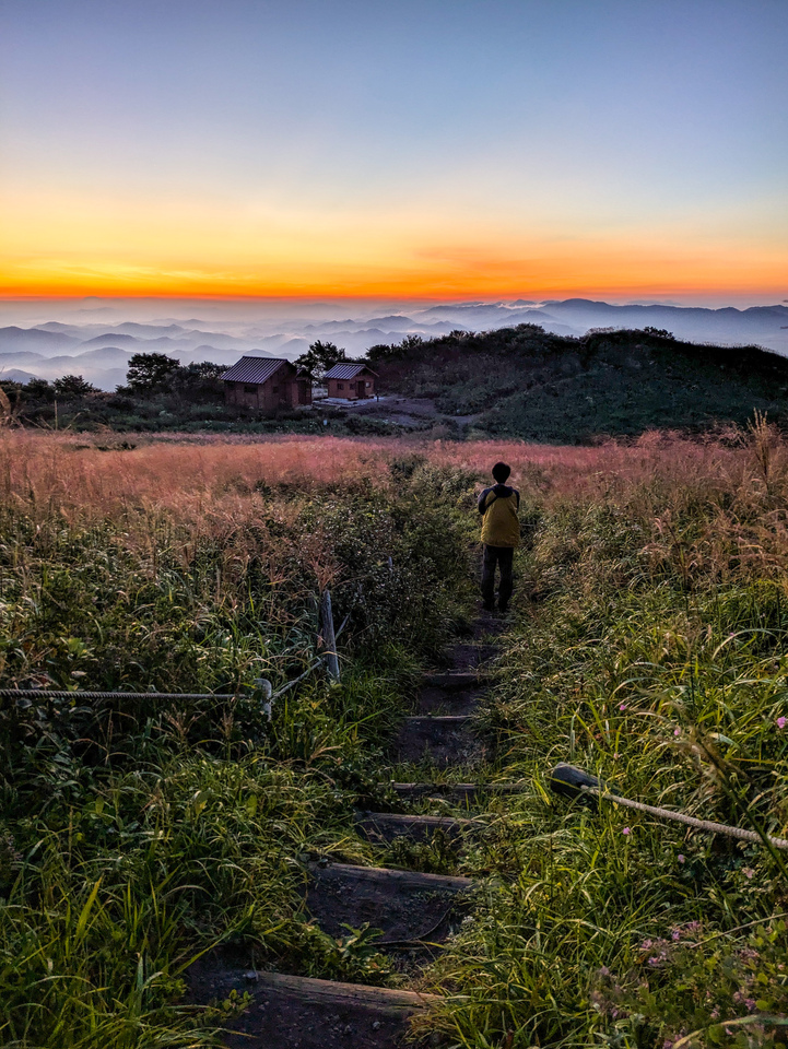 入賞　大塚　泰之さんの作品「目覚め」