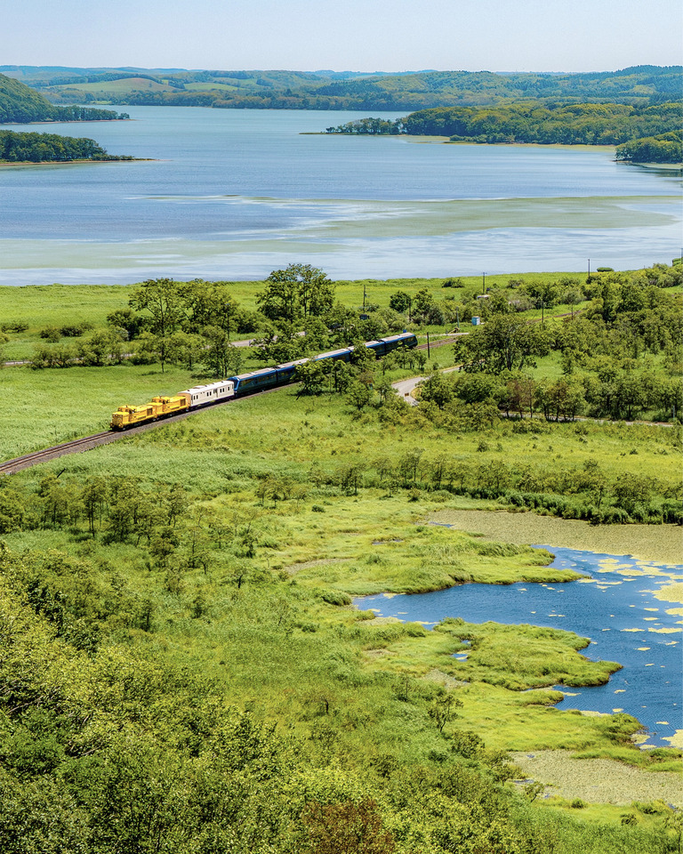 入賞　カッツェ（@diekatze8181）さんの作品「湿原の旅路」