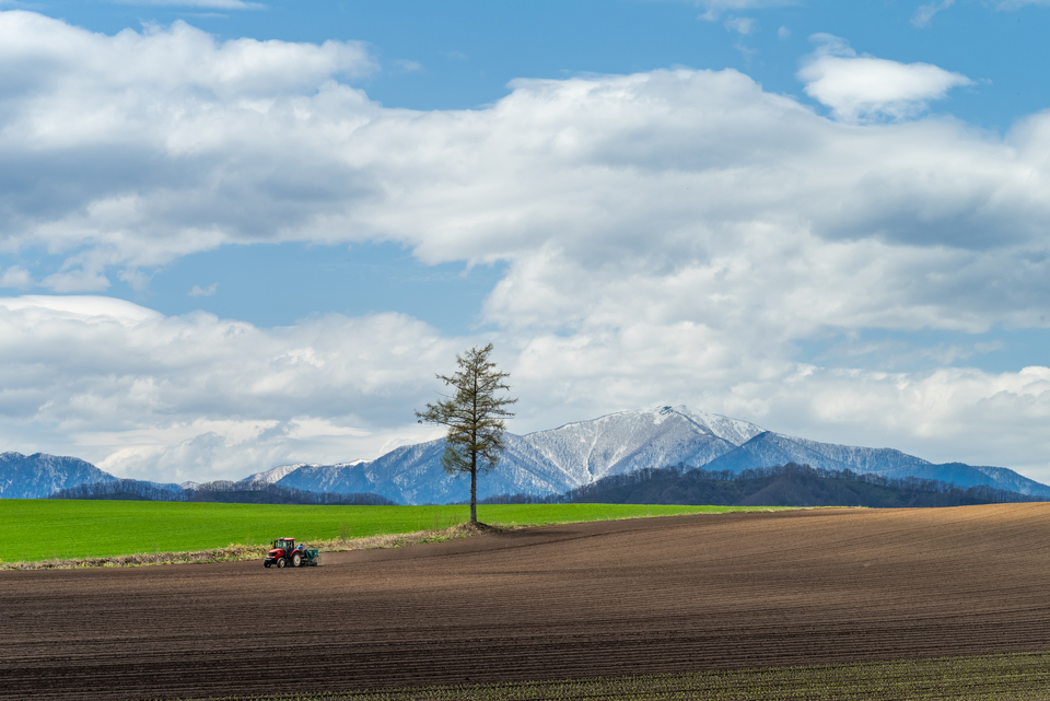 入賞　t.nishi_photographyさんの作品「十勝　春の大地」