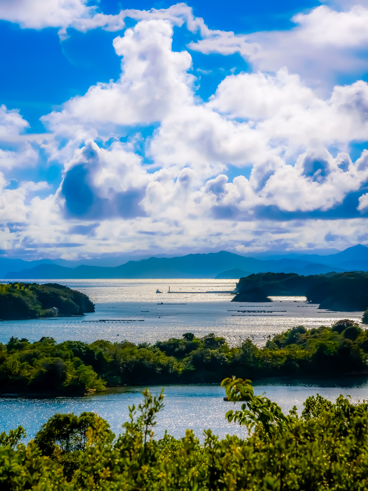 入賞　八兵衛さんの作品「天恵を育む里海」