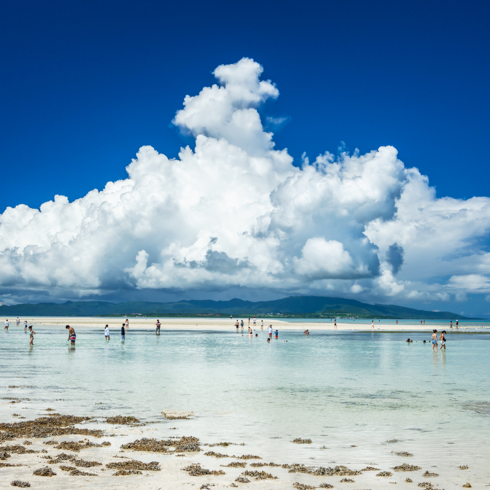 入賞　Shin-ichi Yasunagaさんの作品「夏空のコンドイビーチ」
