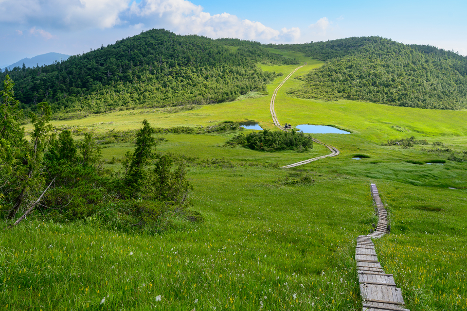 入賞　辻井　和則さんの作品「遥かな尾瀬に続く木道」