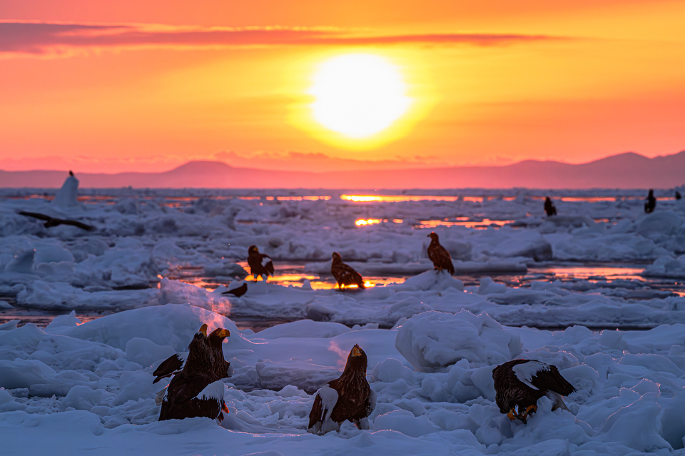 最優秀賞　富永夢乃さんの作品「燃ゆる吐息」