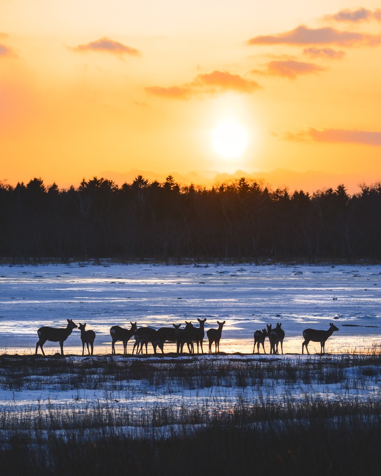 「絶景部門」優秀賞　きーとさんの作品「Boundary」