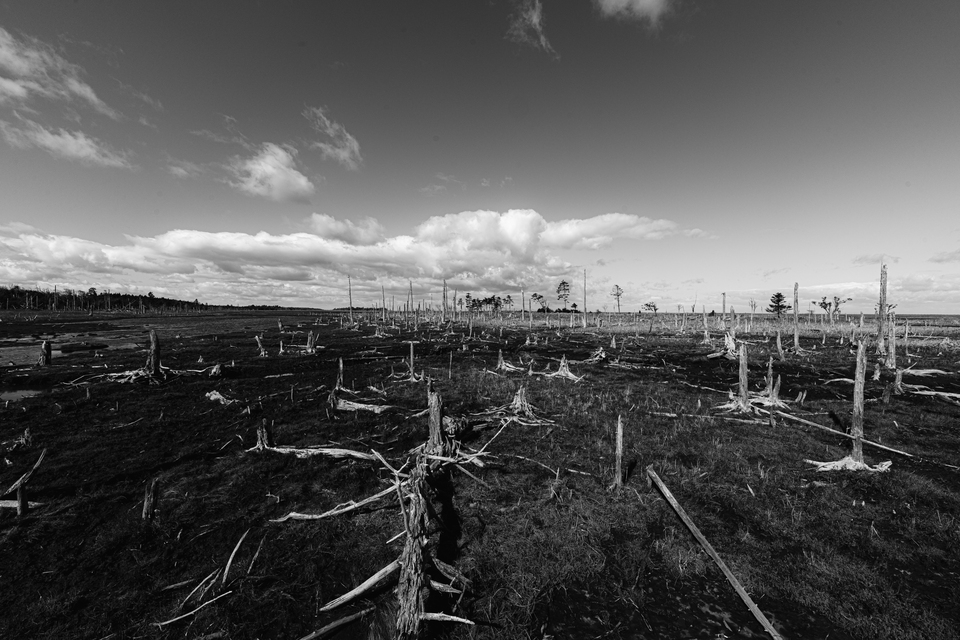 「絶景部門」入賞　Neoさんの作品「奇跡の島」