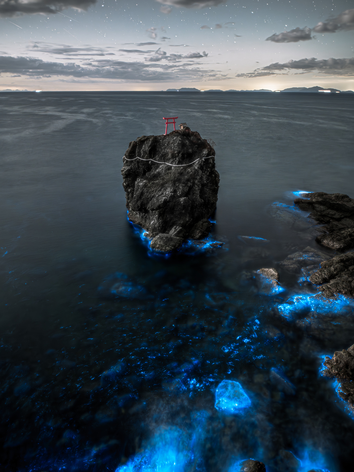 最優秀賞　藤本拓巳さんの作品「蒼海に佇む」