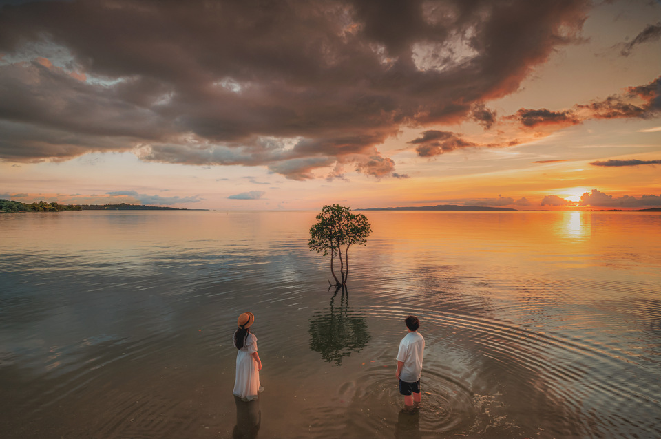 佳作　まーくん(masaya0397)さんの作品「ふたりと一本の木」