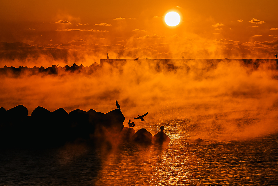 協賛賞（安岐水産賞）　@yasuo.smileさんの作品「真冬の躍動」