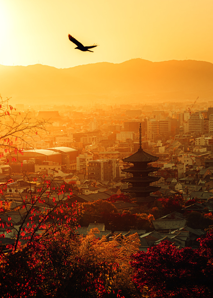 協賛賞（ファイブアローズ賞）　yu-ji(@yuji.h.818)さんの作品「秋は夕暮れ」