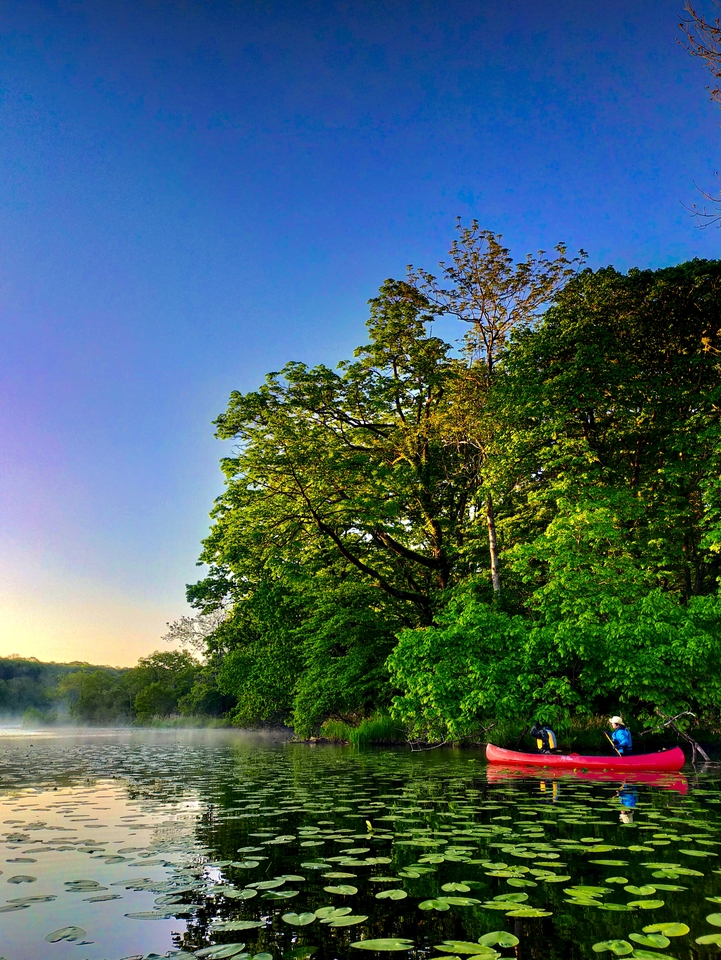 白老エリア賞　庭山　了（白老町在住）さんの作品「ポロト湖　光射す朝」