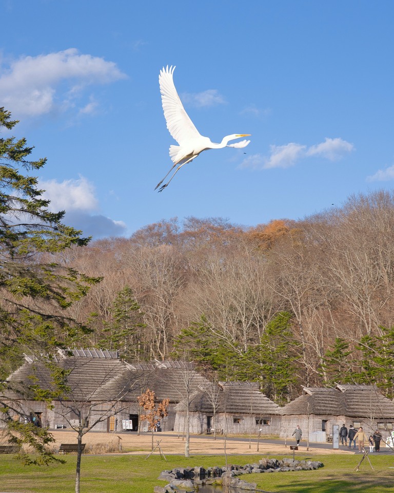 トゥレッポん賞　山澤　周平さんの作品「ホプニ」