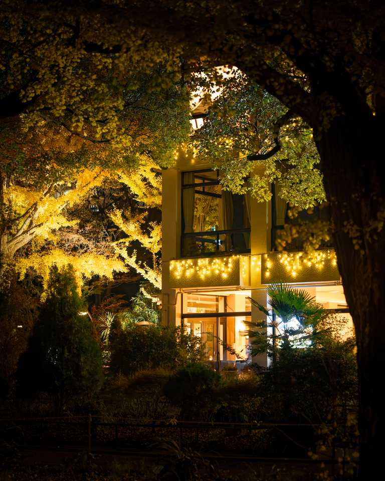 日比谷松本楼賞　nocaさんの作品「Forest Night」