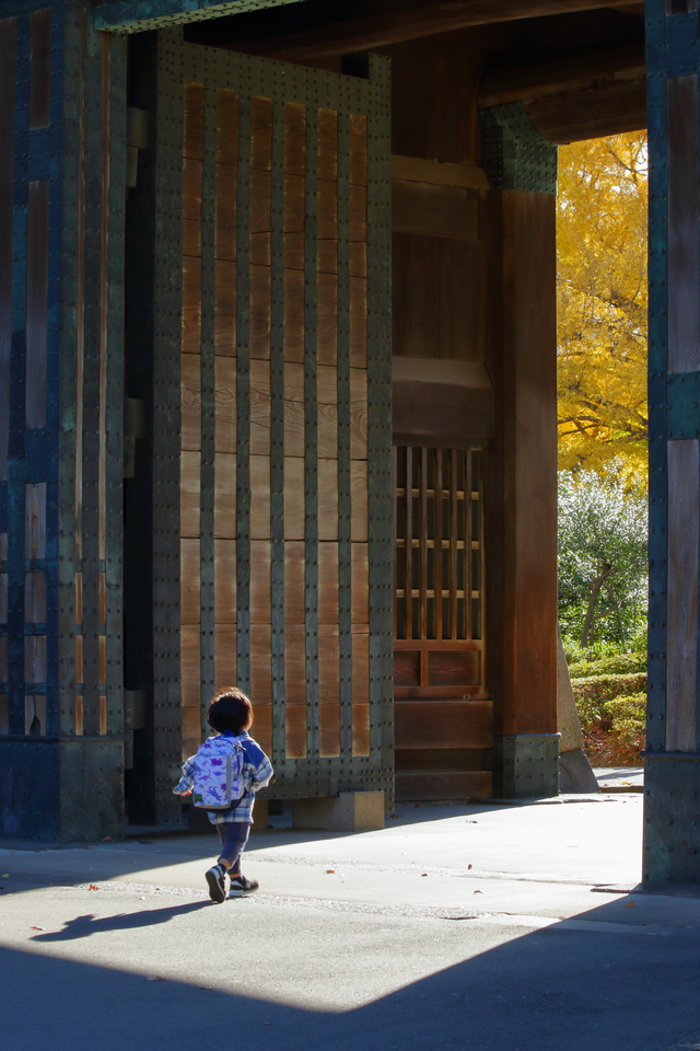 東條會館賞　太田洋之さんの作品「秋を訪ねて」