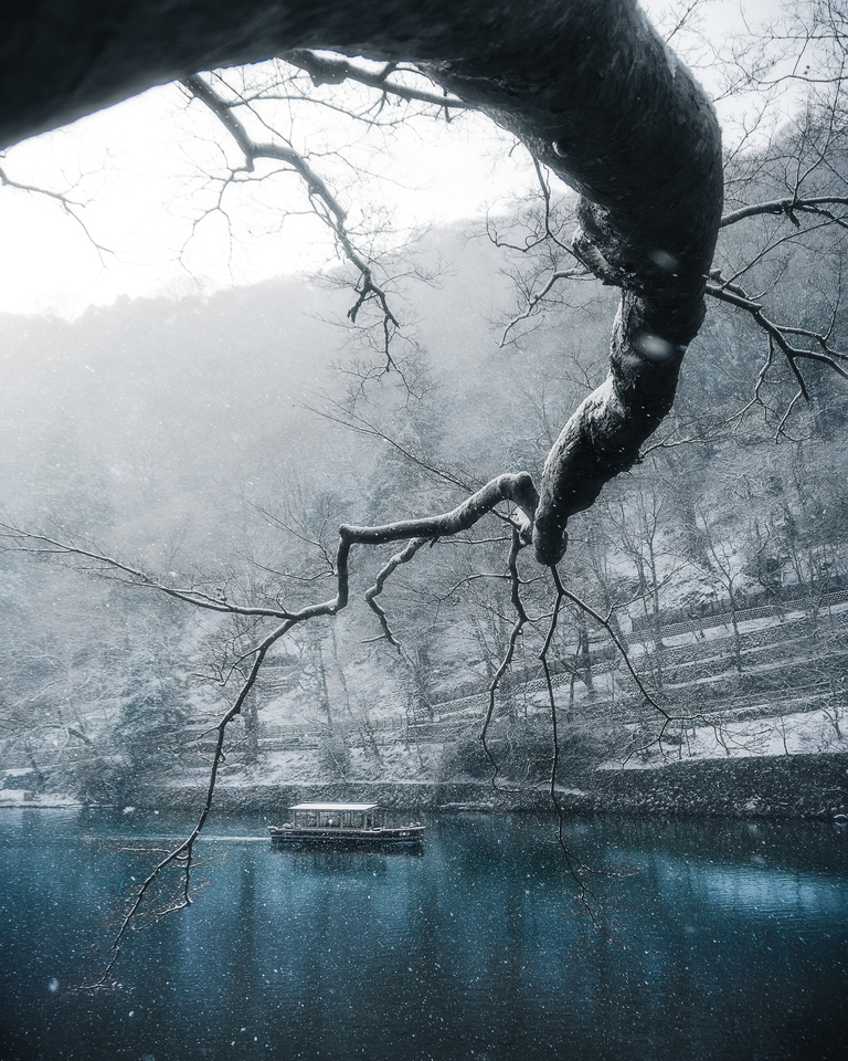 東京カメラ部10選U-22 2025　片山　智大さんの作品「雪見舟」