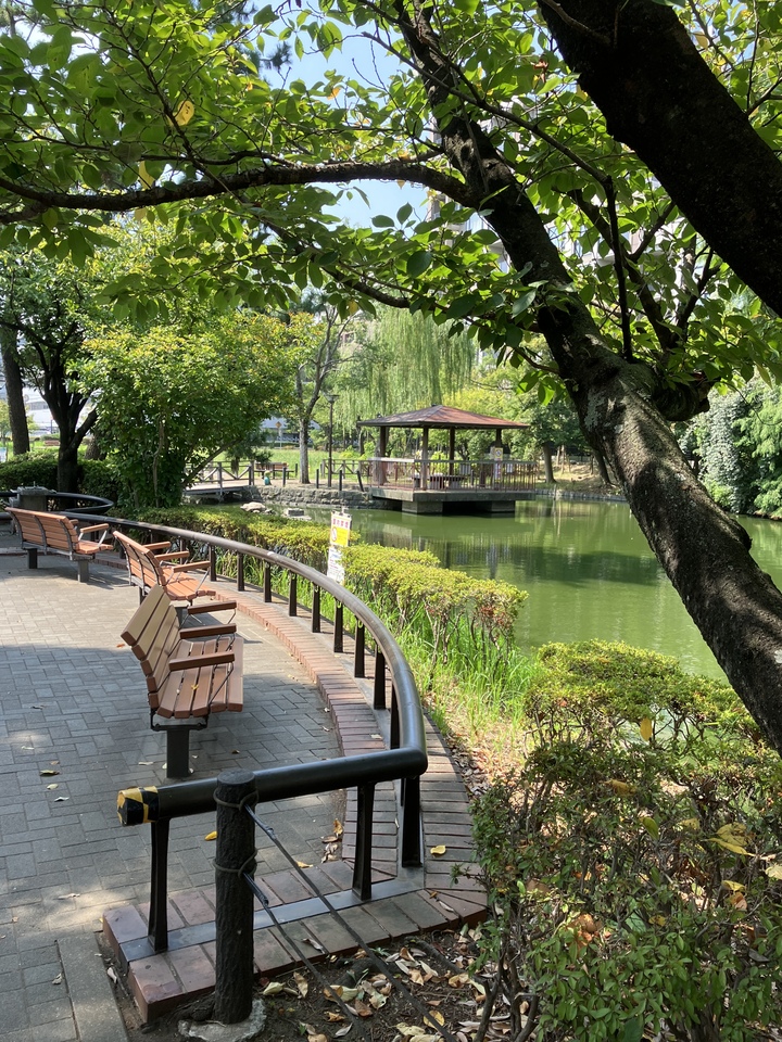 入選　awさんの作品「憩いの場所」