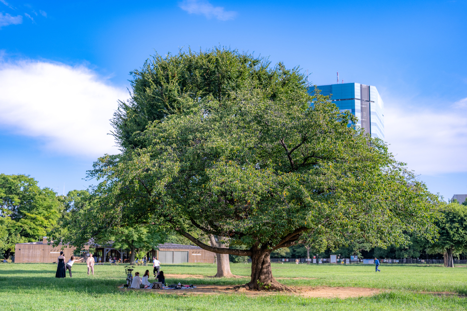 入選　hiro2017さんの作品「自然がつなぐ、ひととき」