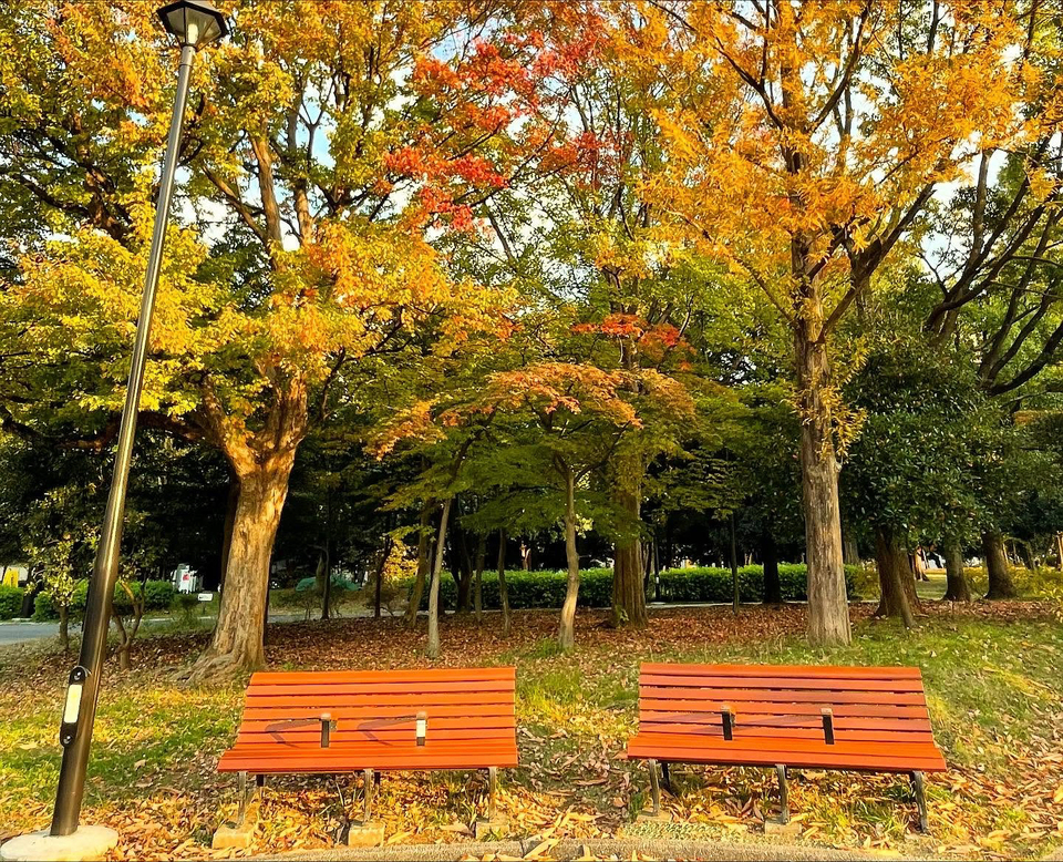 佳作　art0926さんの作品「秋色の午後」