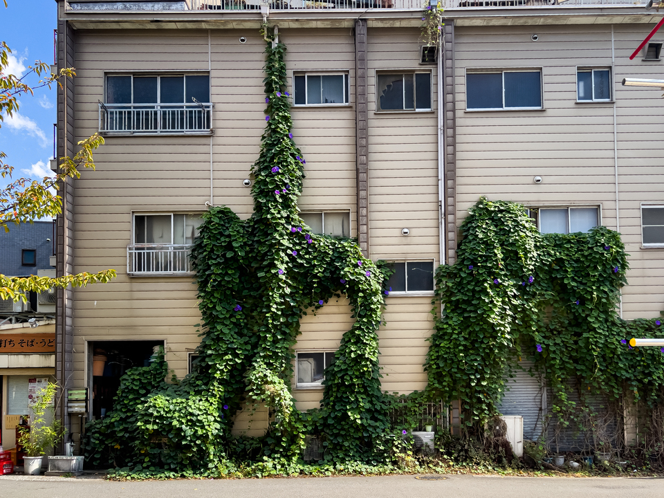 佳作　S@MMEさんの作品「緑育む街」