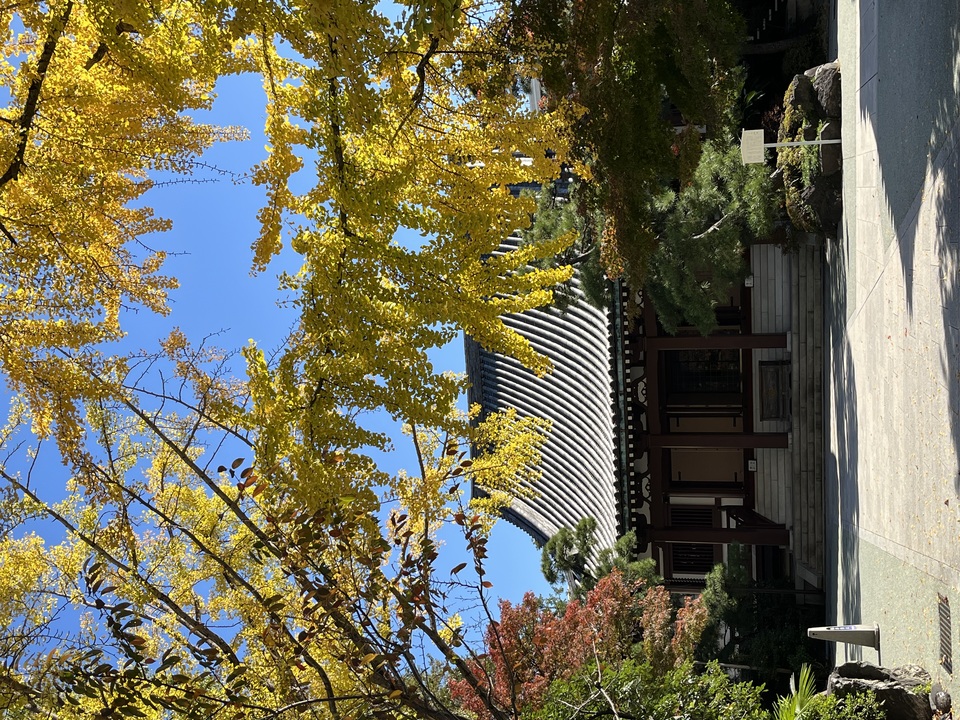 入選　koto_midori25さんの作品「秋の心行寺」