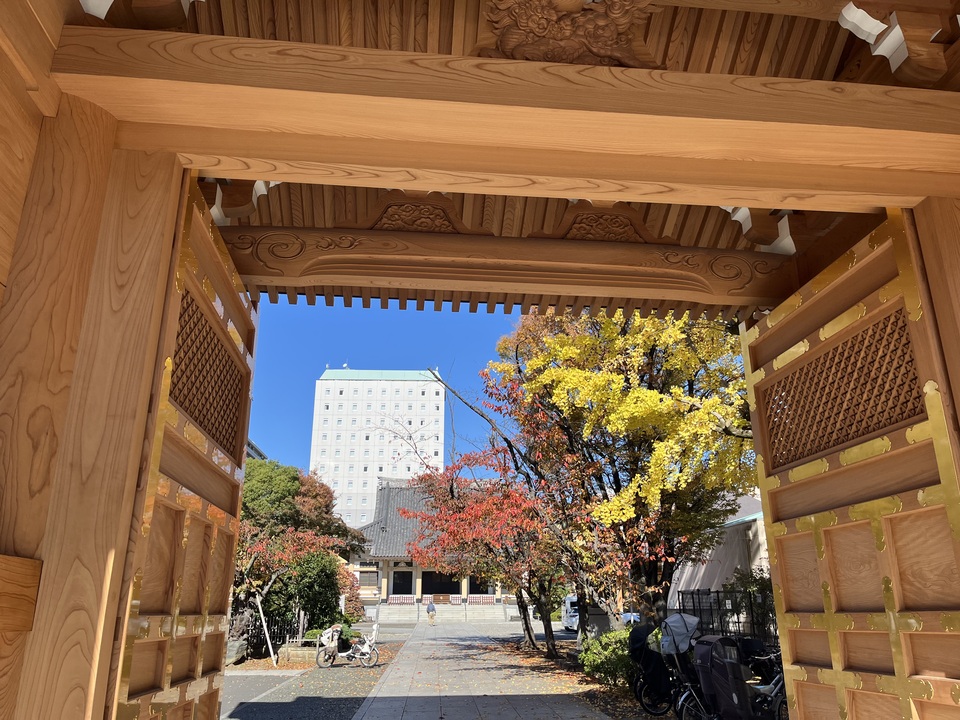 みどり銅賞　koto_midori25さんの作品「秋の霊巌寺」