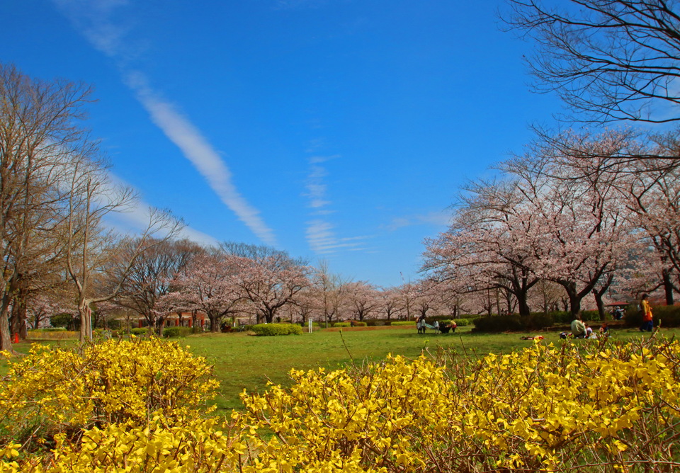 佳作　能登正俊さんの作品「春色」