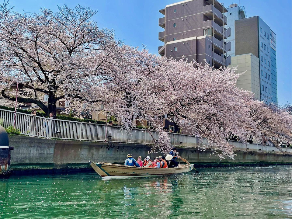 佳作　art0926さんの作品「桜とともに揺蕩う」