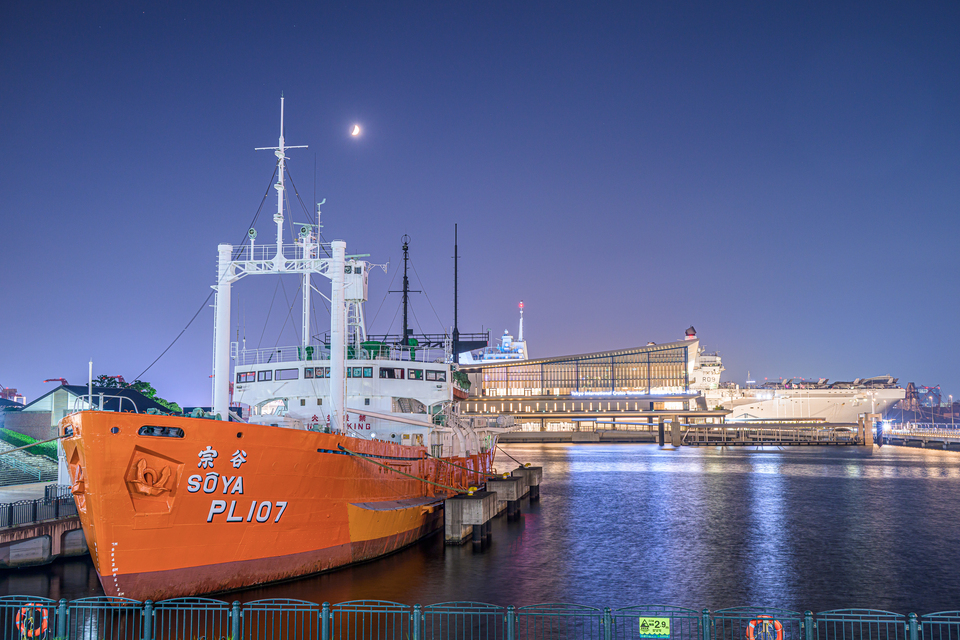 三推し賞（江東区観光協会推し)　Tomoji KAWABATAさんの作品「日英の共演」